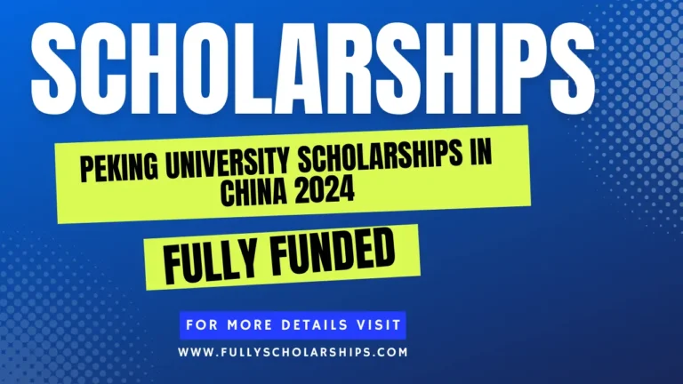 details about Peking University Scholarships in China 2024