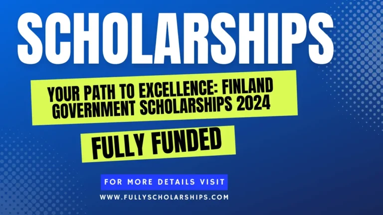 details about Your Path to Excellence: Government of Finland Scholarships 2024