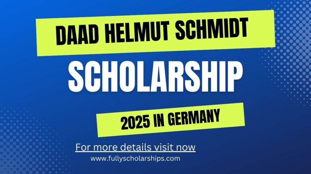 DAAD Helmut Schmidt Scholarship 2025 in Germany