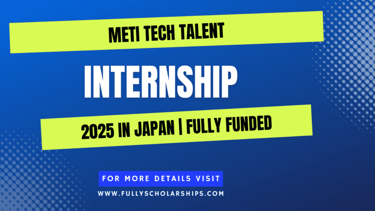 METI Tech Talent Internship in Japan 2025