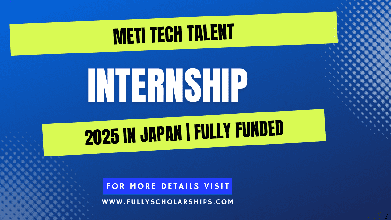 METI Tech Talent Internship in Japan 2025