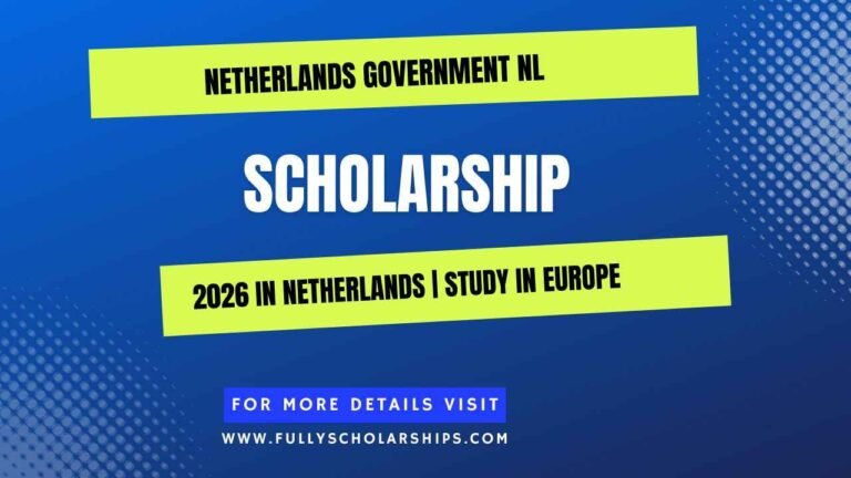 Netherlands Government NL Scholarship 2026